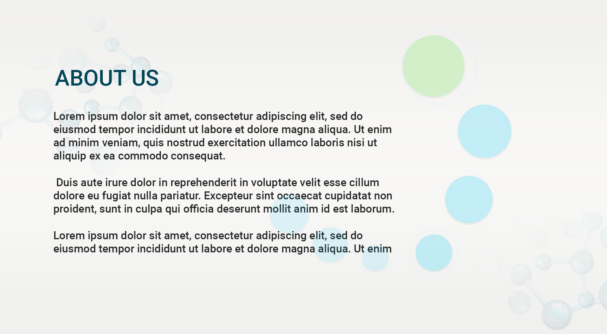 JNP Biotech